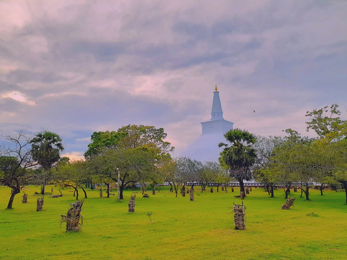 Monks overlooking the landscape